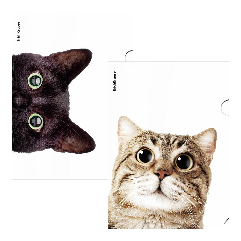Папка-уголок пластиковая ErichKrause Hiding Cats, A4, ассорти (в пакете по 12 шт.)