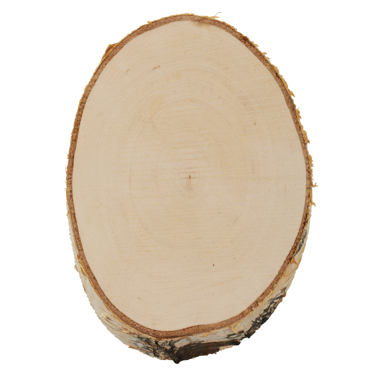 Заготовка деревянная Срез дерева 17*13 см, береза