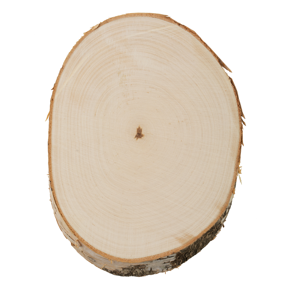 Заготовка деревянная Срез дерева 20*15 см, береза